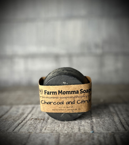 Activated Charcoal Face and Body Soap Bar